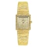 Gold shell, gold surface, gold steel band