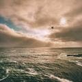 Hand Bags 6
