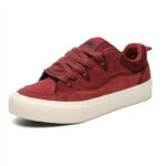 Autumn Breathable Canvas Shoes Men’s Black All-match Cloth Shoes Men’s Trendy Low-top Niche Casual Sneakers Shoes - Image 3