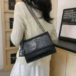 Cross-border Bag Women's  New Style Bag High-end European and American Retro Chain Dionyor Bag Fashion Shoulder Crossbody Bag - Image 3